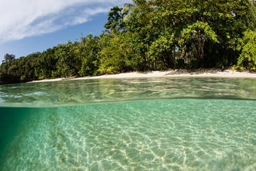 Beautiful Remote Beach on Tropical Island in Raja Ampat