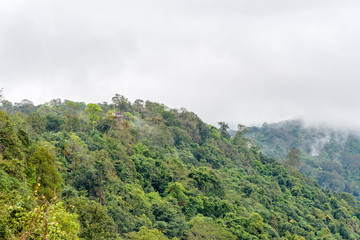 Beautiful nature landscape of green forests and peaks of Pha Chu Thong look from a distance at Lan Hin Pum is a famous nature attractions of Phu Hin Rong Kla National Park, Phitsanulok, Thailand