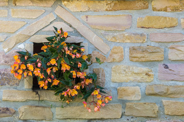 Colorful flowers in niche of yellow stone bricks wall