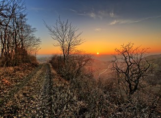 Obraz premium Sonnenuntergang über dem Maintal