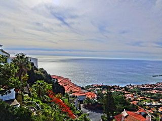 Obraz premium Madeira island nature