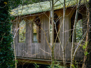 Covered bridge trees
