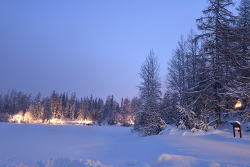 snowy scenery of forests and hills in winter