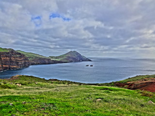 Madeira island nature
