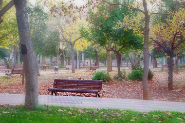 Soledad de un parque en otoño