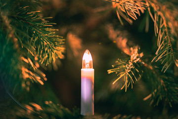 Weihnachts Baum Kerze mit elektrischer Glühbirne. Umrahmt vom Tannebaum und seinen Nadel Zweigen