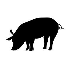 Vector pig silhouette side retro vintage template. Pig farm.