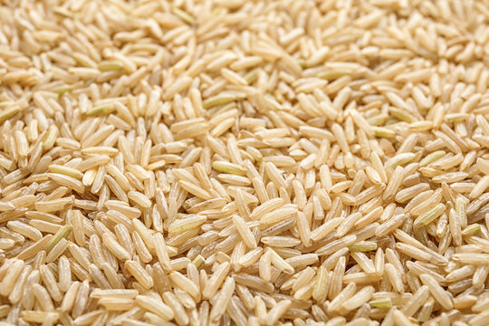 Pile of raw unpolished rice as background, closeup