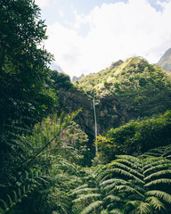 Chute d'eau de la Fautaua