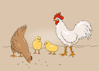 hahn henne und küken illustration
