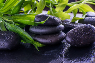 Fototapeta na wymiar Green bamboo stems on the black massage stones with water drops
