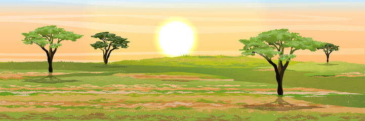 African savannah. Grass, acacia trees. Realistic vector landscape. The nature of Africa. Reserves and national parks. © AnnstasAg
