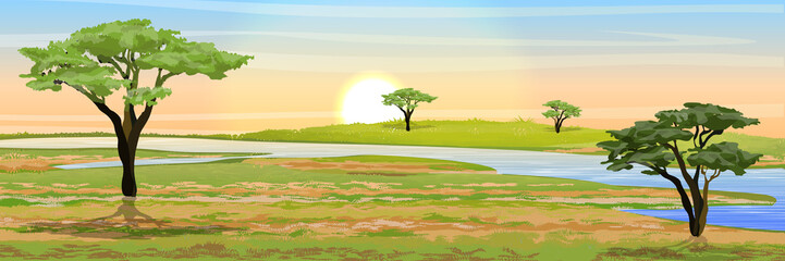 African savannah. Grass, acacia trees and river. Realistic vector landscape. The nature of Africa. Reserves and national parks. © AnnstasAg
