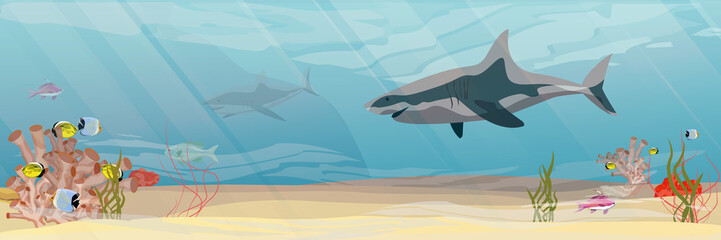 Tropical underwater landscape. The bottom of the coral reef with exotic fish, corals, sea sponges, sand and stones. Great shark in the warm tropical sea. Vector illustration