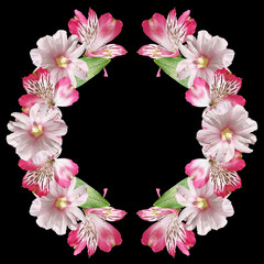 Beautiful pattern of pink Alstroemeria and mallow 