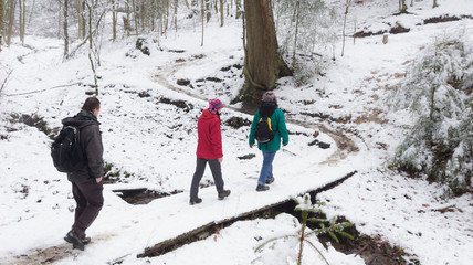 3 Personen beim Wandern im verschneiten Wald