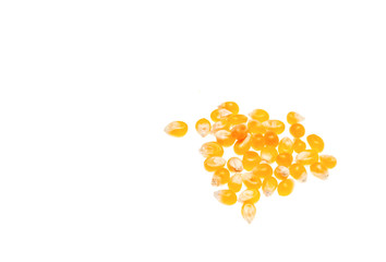 Dried corns on white background