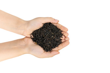 Fireweed tea with thyme herb in female hands, close up. Great willowherb or rosebay herbal healthy...