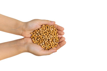 Chickpea in female hands, close up, macro, top view. Chickpea is rich source of vitamins, minerals...