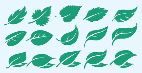 green leaf icons set, symbol, logo