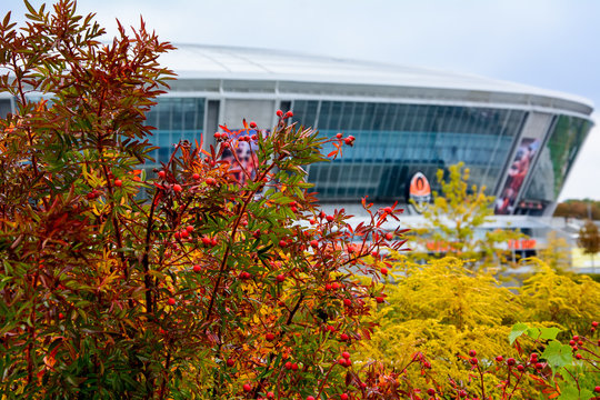Landscape design on the background of the Donbass Arena in Donetsk