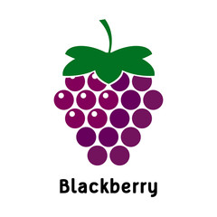 blackberry logo on a white background. Berry Vector Design, Illustration