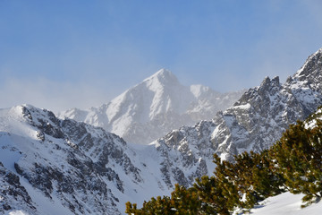 Plakat peak of snowy mountains in winter High Tatras Slovakia