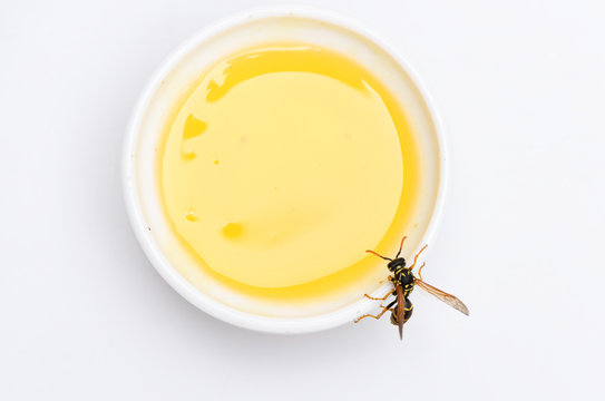 Sweet natural nectar. Healthy food and lifestyle concept. Natural and organic product. Natural sweetener. Honey producing. Natural honey and bee close up. Bee or wasp on cup of honey white background