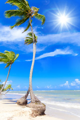 Cayo Levantado: Antillen, Karibik, Ferien, Tourismus, Sommer, Sonne, Strand, Auszeit, Meer, Glück, Entspannung, Meditation, Palmen, Himmel, Wolken: Traumurlaub an einem einsamen, karibischen Strand :)