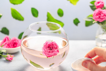 Facial lotion extract with rose petals. Cotton pads. Healing homemade skincare moisture tonic.