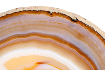 Macro mineral stone Yellow, brown Agate breed a white background close up
