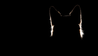 German Shepherd Silhouette