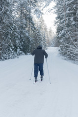Zimowy krajobraz.  Mężczyzna na nartach biegowych