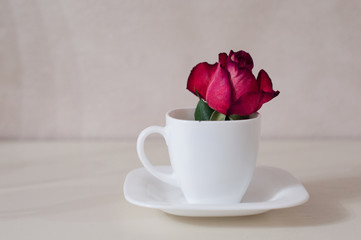 cup and rose