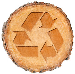 Cut piece of wood tree trunk with recycle symbol. Renewable resources for a green planet.