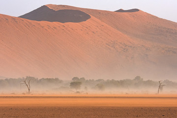 Plakat Sandsturm im Namib-Naukluft Nationalpark (Sossusvlei) in Namibia