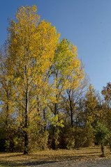 Autumn in South Park in Sofia Bulgaria