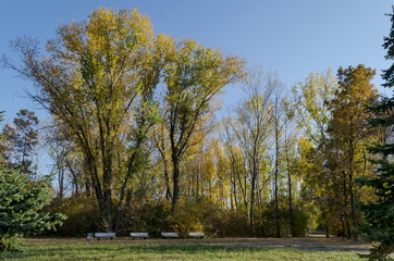 Autumn in South Park in Sofia Bulgaria