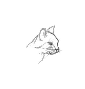 Cat Profile Drawing Photos Royalty Free Images Graphics Vectors Videos Adobe Stock
