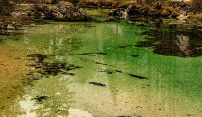 Beautiful natural wonder, green river in the alps	