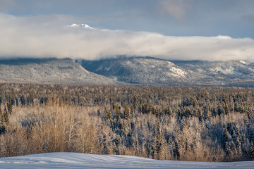 Boreal Mountain Forest - Winter Cloud Layer