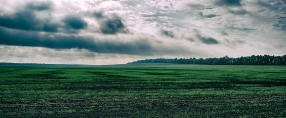agricultural field and forest sky with rain clouds. Autumn season in the countryside.