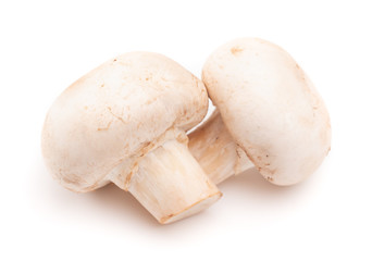 Mushrooms Isolated on a White Background