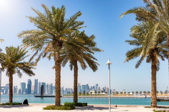 Palmen an der Promenade in Doha, Katar, mit Blick auf die moderne Skyline