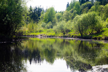 Fototapeta premium Landscape