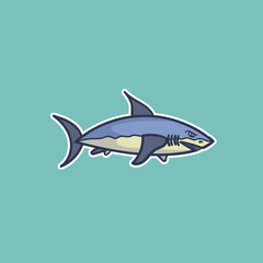cartoon shark illustration