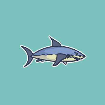 cartoon shark illustration