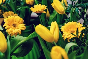 Obraz na płótnie Canvas bouquet of yellow tulips and chrysanthemums