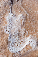 Natural white salt crystal texture on the sand, macro, close up. Salty lake shore background, Spain, Torrevieja.
