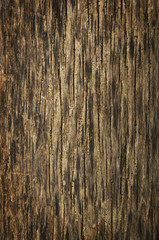 Brown grunge wood texture